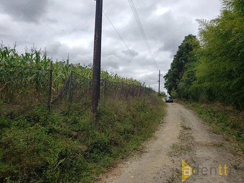 Sitio 6 Quartos - Fukushima - Sítio em Fukushima, Guararema - Foto 4