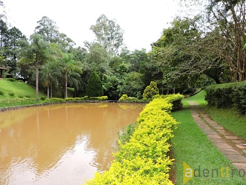 Casa 4 Quartos - Granja Viana - Foto 47