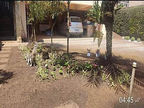 Casa 5 Quartos com 1 Suíte - 350m² - Ribeirão Pires - Foto 11