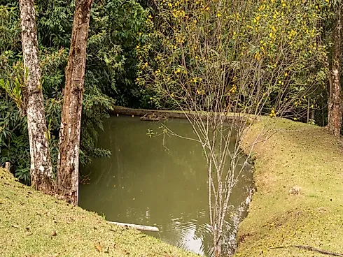 Sítio a Venda em Marechal Floriano/ Bom Jesus - Foto 11