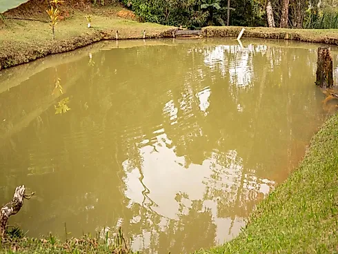 Sítio a Venda em Marechal Floriano/ Bom Jesus - Foto 13