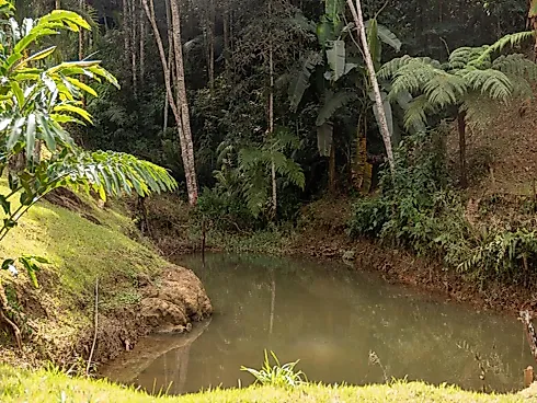 Sítio a Venda em Marechal Floriano/ Bom Jesus - Foto 14
