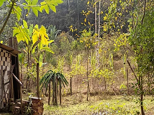 Sítio a Venda em Marechal Floriano/ Bom Jesus - Foto 17