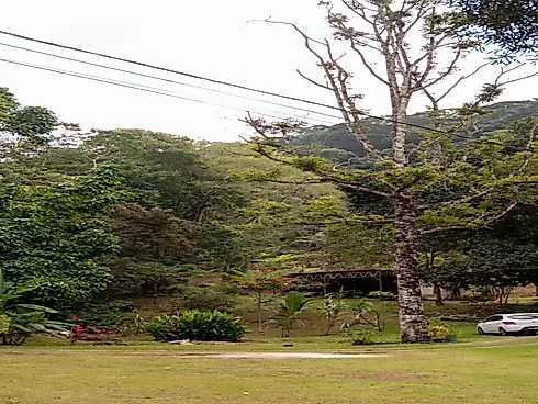 Sítio a Venda em Marechal Floriano/ Bom Jesus - Foto 7