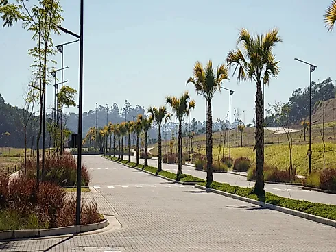 Colinas de Camboriú - Terreno em Várzea Do Ranchinho, Camboriú - Foto 5