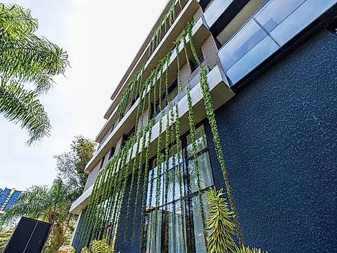 Casamia - Apartamento em Bigorrilho, Curitiba - Foto 5
