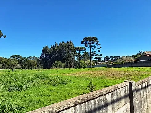 Lote Umbará - Terreno em Umbará, Curitiba - Foto 2