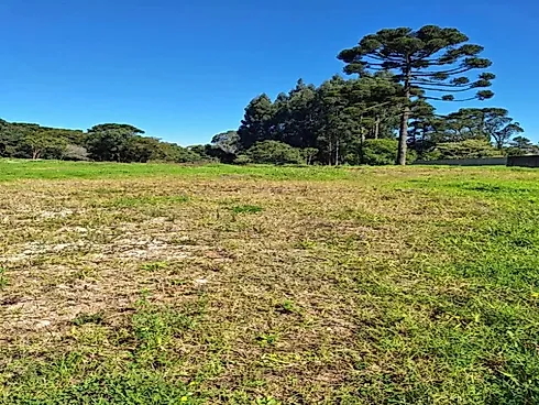Lote Umbará - Terreno em Umbará, Curitiba - Foto 4