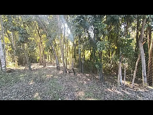🌟 Oportunidade Única em Jaguariúna/SP – 2.040 m² Prontos para Construir! - Foto 15