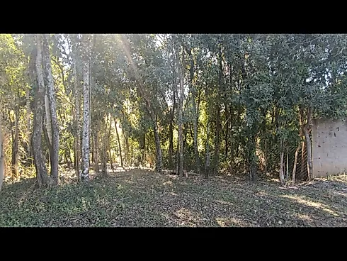 🌟 Oportunidade Única em Jaguariúna/SP – 2.040 m² Prontos para Construir! - Foto 17