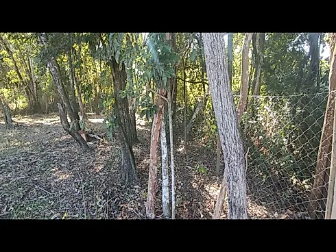 🌟 Oportunidade Única em Jaguariúna/SP – 2.040 m² Prontos para Construir! - Foto 18