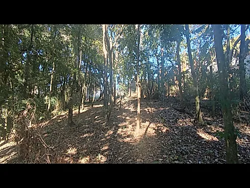 🌟 Oportunidade Única em Jaguariúna/SP – 2.040 m² Prontos para Construir! - Foto 22