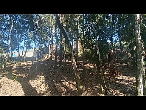 🌟 Oportunidade Única em Jaguariúna/SP – 2.040 m² Prontos para Construir! - Foto 26