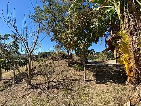 Sítio com 198.480 m² para Café e Pecuária em Monte Sião  Sustentável e Pronto para Produzir - Foto 69