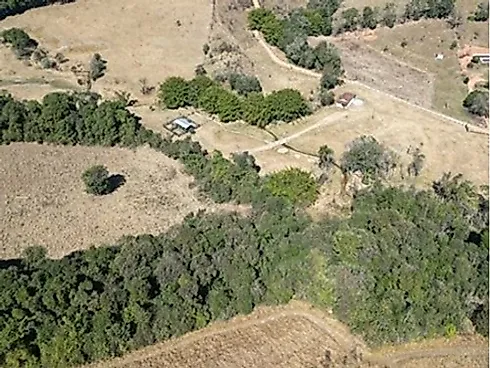 Sítio com 198.480 m² para Café e Pecuária em Monte Sião  Sustentável e Pronto para Produzir - Foto 71