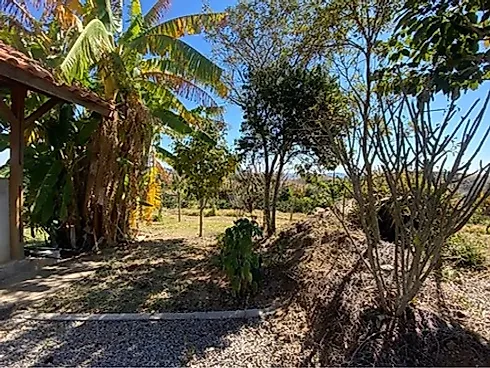 Sítio com 198.480 m² para Café e Pecuária em Monte Sião  Sustentável e Pronto para Produzir - Foto 75