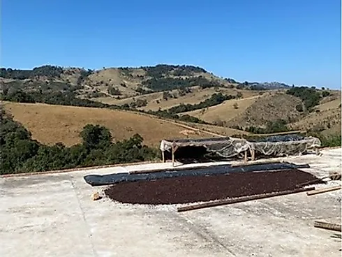 Sítio com 198.480 m² para Café e Pecuária em Monte Sião  Sustentável e Pronto para Produzir - Foto 8
