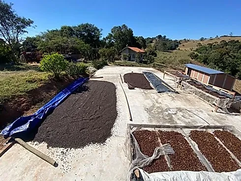 Sítio com 198.480 m² para Café e Pecuária em Monte Sião  Sustentável e Pronto para Produzir - Foto 9