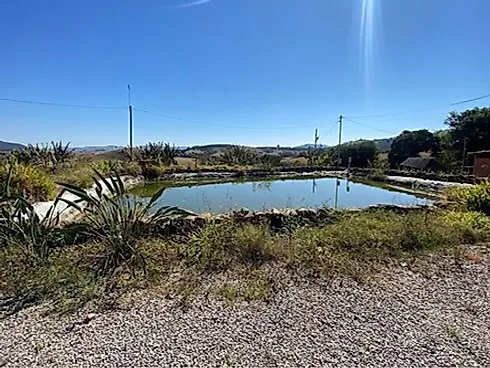 Sítio com 198.480 m² para Café e Pecuária em Monte Sião  Sustentável e Pronto para Produzir - Foto 12