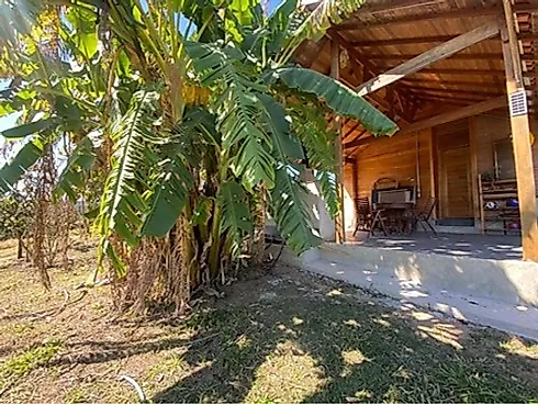 Sítio com 198.480 m² para Café e Pecuária em Monte Sião  Sustentável e Pronto para Produzir - Foto 13