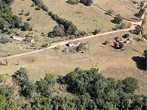 Sítio com 198.480 m² para Café e Pecuária em Monte Sião  Sustentável e Pronto para Produzir - Foto 14