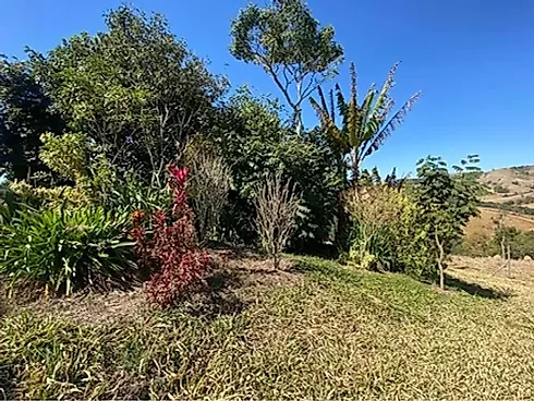 Sítio com 198.480 m² para Café e Pecuária em Monte Sião  Sustentável e Pronto para Produzir - Foto 18