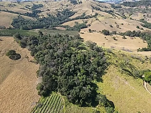 Sítio com 198.480 m² para Café e Pecuária em Monte Sião  Sustentável e Pronto para Produzir - Foto 24