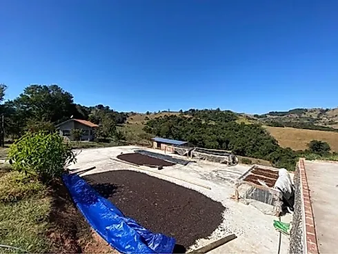 Sítio com 198.480 m² para Café e Pecuária em Monte Sião  Sustentável e Pronto para Produzir - Foto 25