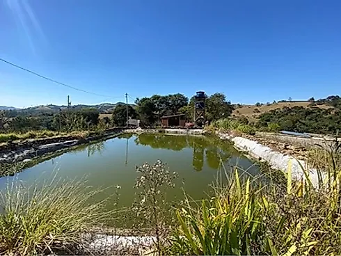 Sítio com 198.480 m² para Café e Pecuária em Monte Sião  Sustentável e Pronto para Produzir - Foto 28