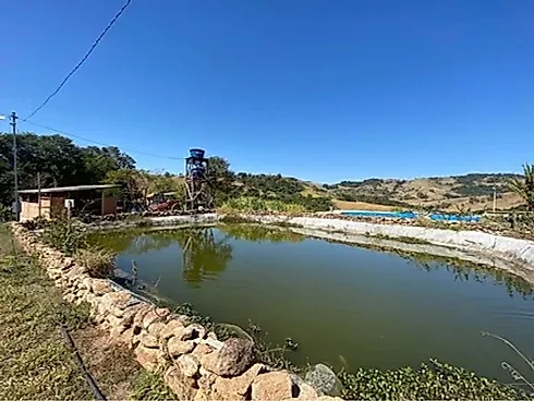 Sítio com 198.480 m² para Café e Pecuária em Monte Sião  Sustentável e Pronto para Produzir - Foto 30