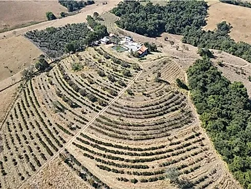 Sítio com 198.480 m² para Café e Pecuária em Monte Sião  Sustentável e Pronto para Produzir - Foto 36