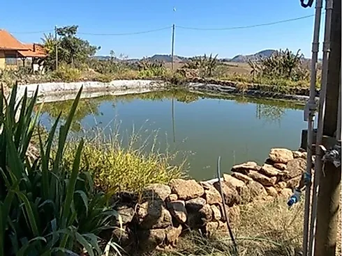 Sítio com 198.480 m² para Café e Pecuária em Monte Sião  Sustentável e Pronto para Produzir - Foto 50