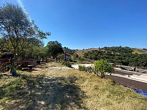 Sítio com 198.480 m² para Café e Pecuária em Monte Sião  Sustentável e Pronto para Produzir - Foto 51