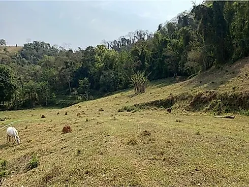 💧🏔️ Ativo Mineral Raro à Venda no Circuito das Águas Paulista 🏔️💧 - Foto 22
