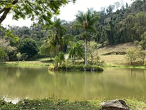 💧🏔️ Ativo Mineral Raro à Venda no Circuito das Águas Paulista 🏔️💧 - Foto 26