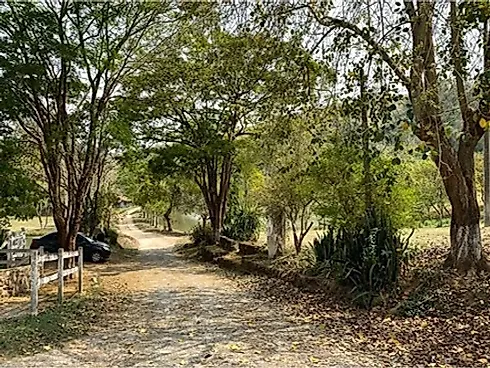 💧🏔️ Ativo Mineral Raro à Venda no Circuito das Águas Paulista 🏔️💧 - Foto 45