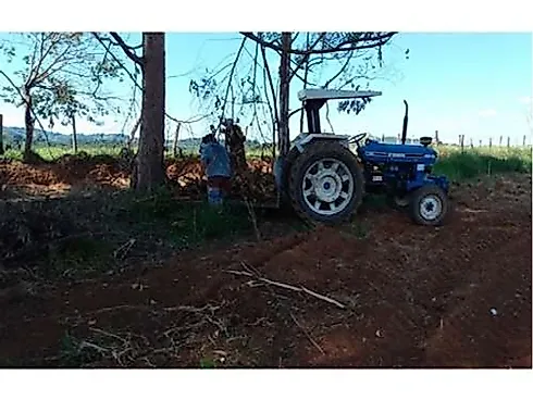 Sitio Comercial à Venda em Campestre, Minas Gerais - Foto 13