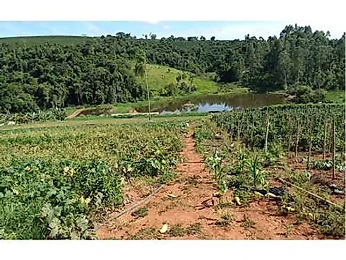 Sitio Comercial à Venda em Campestre, Minas Gerais - Foto 16