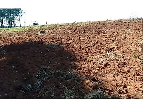 Sitio Comercial à Venda em Campestre, Minas Gerais - Foto 18