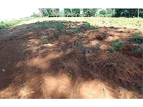 Sitio Comercial à Venda em Campestre, Minas Gerais - Foto 25