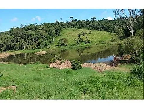 Sitio Comercial à Venda em Campestre, Minas Gerais - Foto 28