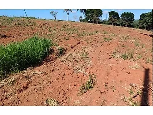 Sitio Comercial à Venda em Campestre, Minas Gerais - Foto 29