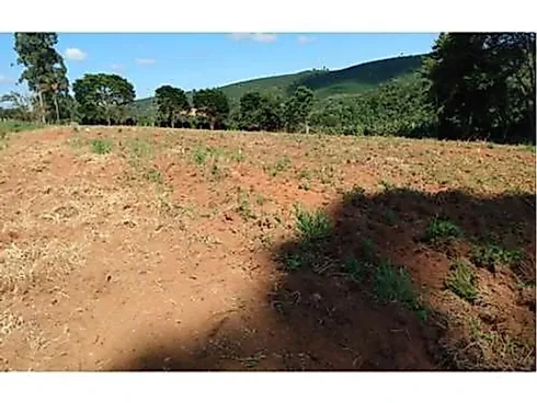 Sitio Comercial à Venda em Campestre, Minas Gerais - Foto 30