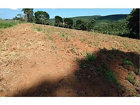 Sitio Comercial à Venda em Campestre, Minas Gerais - Foto 44