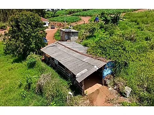 Sitio Comercial à Venda em Campestre, Minas Gerais - Foto 45