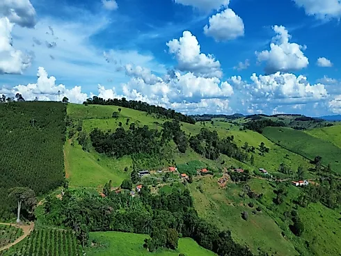 Sítio à Venda em Munhoz/MG - Foto 10