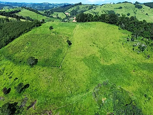 Sítio à Venda em Munhoz/MG - Foto 12