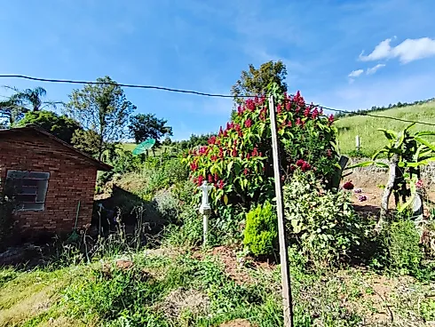 Sítio à Venda em Munhoz/MG - Foto 17