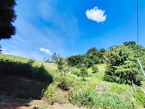 Sítio à Venda em Munhoz/MG - Foto 18