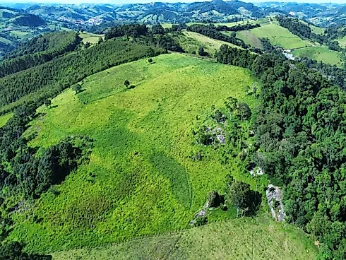 Sítio à Venda em Munhoz/MG - Foto 6